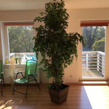 פוטסדאם Ferienwohnung Brandenburger Strasse מראה חיצוני תמונה