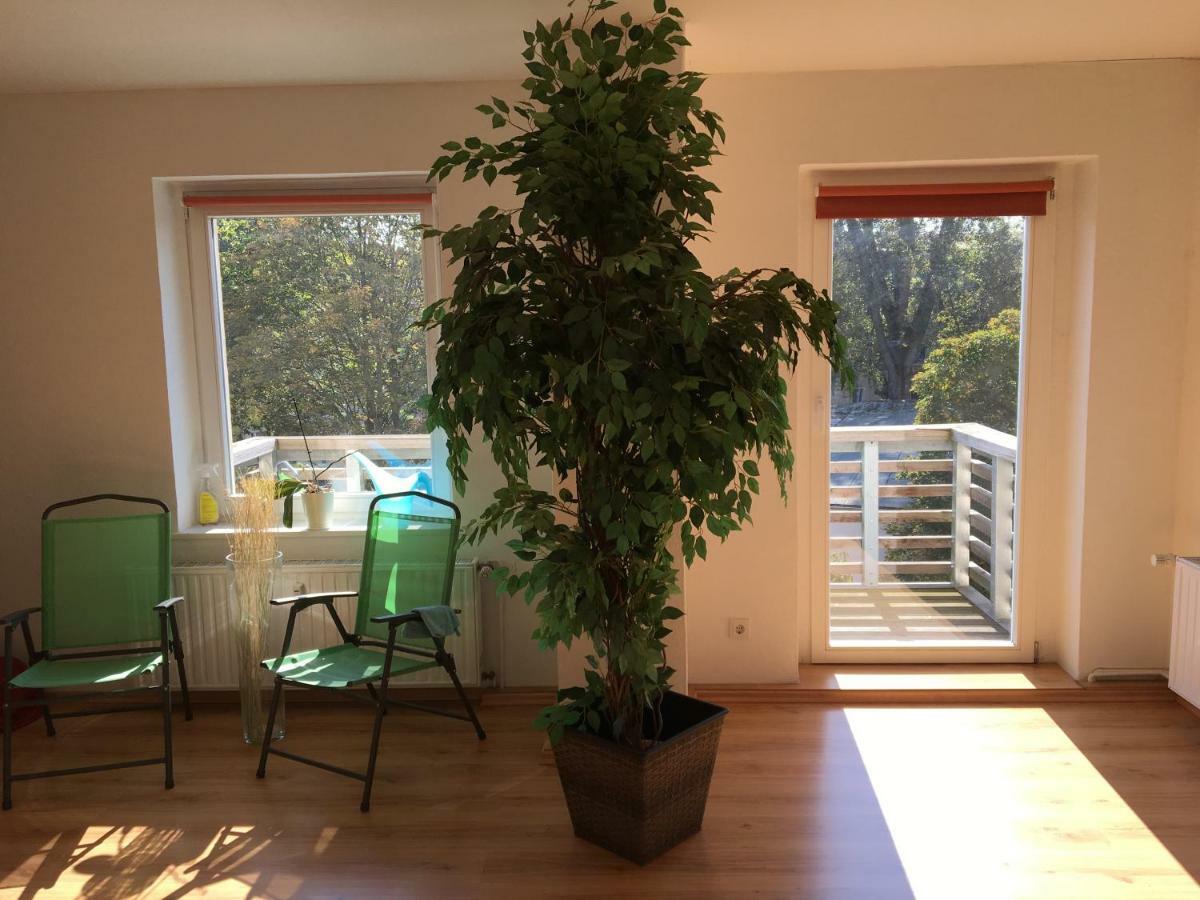פוטסדאם Ferienwohnung Brandenburger Strasse מראה חיצוני תמונה